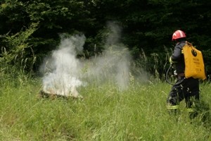 Slika PU_I///Vatrogasci - Buzet 238.jpg